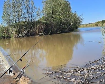 5 Bedroom Property for Sale in Edenburg Rural Free State